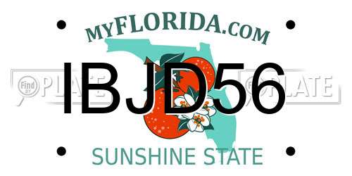 IBJD56 Florida License Plate