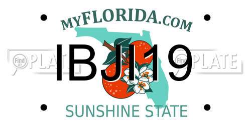 IBJI19 Florida License Plate