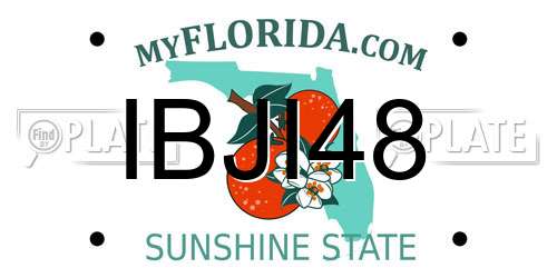 IBJI48 Florida License Plate