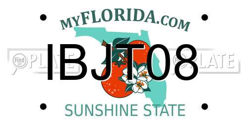 IBJT08 Florida License Plate