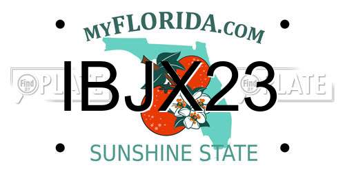 IBJX23 Florida License Plate