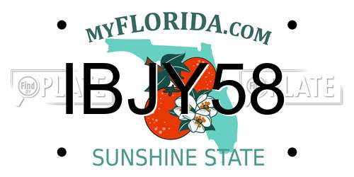IBJY58 Florida License Plate