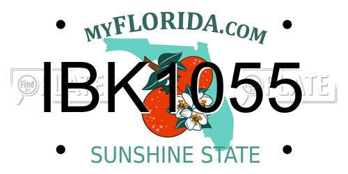 IBK1055 Florida License Plate