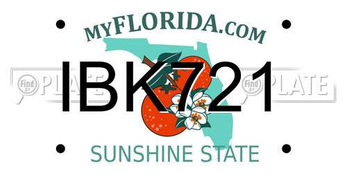 IBK721 Florida License Plate