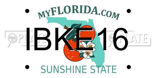 IBKE16 Florida License Plate