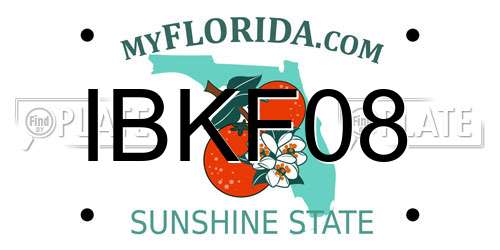 IBKF08 Florida License Plate