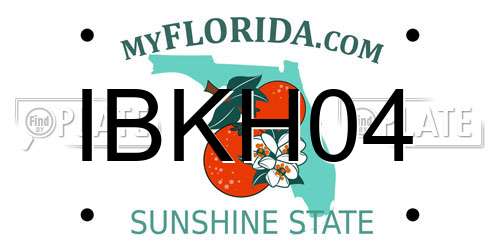 IBKH04 Florida License Plate