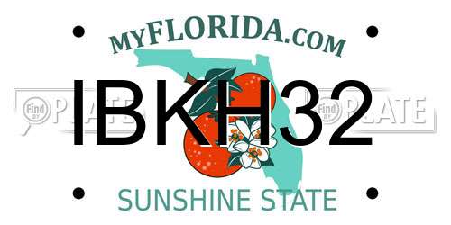 IBKH32 Florida License Plate