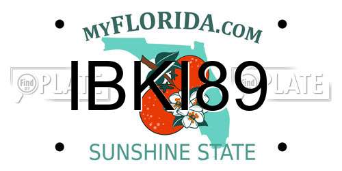 IBKI89 Florida License Plate