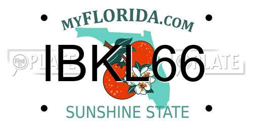 IBKL66 Florida License Plate