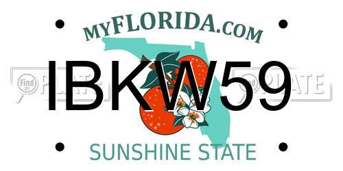 IBKW59 Florida License Plate