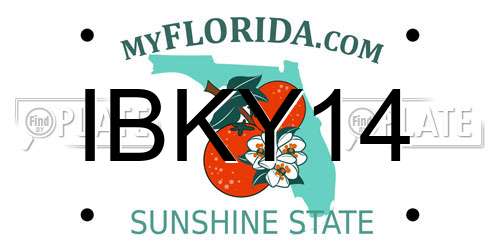 IBKY14 Florida License Plate