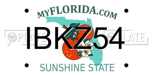 IBKZ54 Florida License Plate