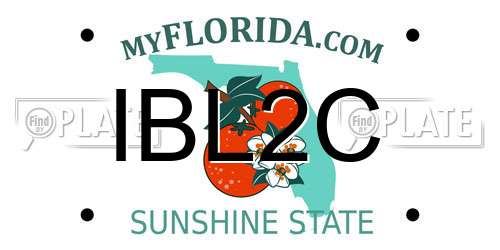IBL2C Florida License Plate