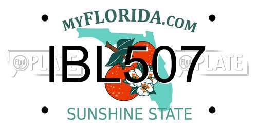 IBL507 Florida License Plate