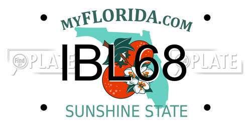 IBL68 Florida License Plate