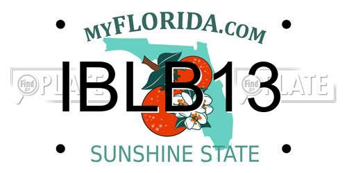 IBLB13 Florida License Plate
