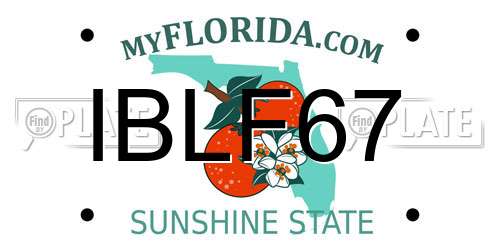 IBLF67 Florida License Plate