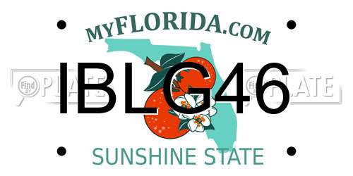IBLG46 Florida License Plate