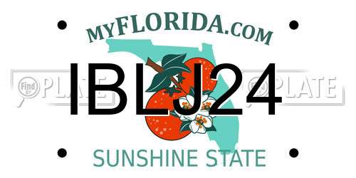 IBLJ24 Florida License Plate