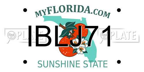 IBLJ71 Florida License Plate
