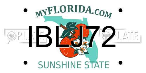 IBLJ72 Florida License Plate