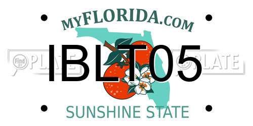 IBLT05 Florida License Plate