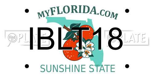 IBLT18 Florida License Plate