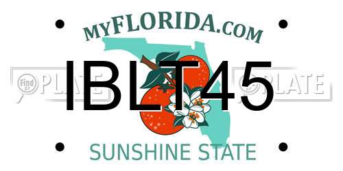 IBLT45 Florida License Plate