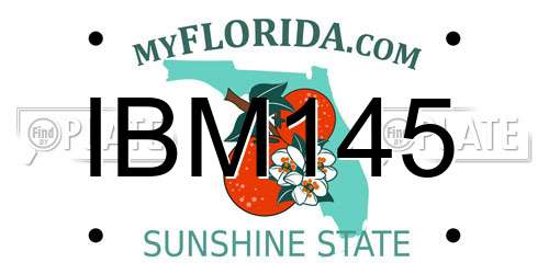 IBM145 Florida License Plate
