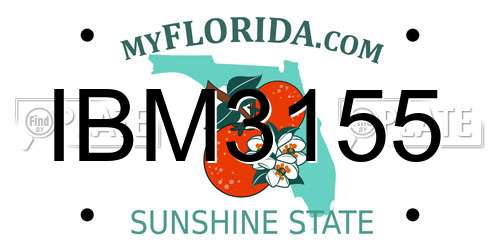 IBM3155 Florida License Plate