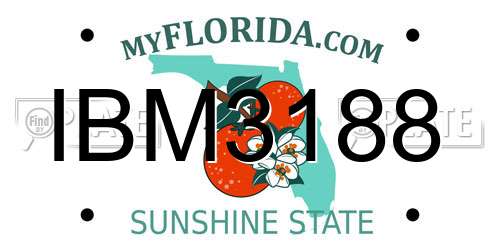 IBM3188 Florida License Plate