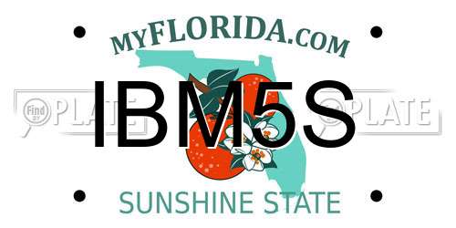 IBM5S Florida License Plate