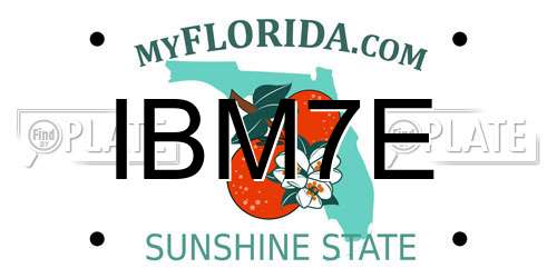 IBM7E Florida License Plate