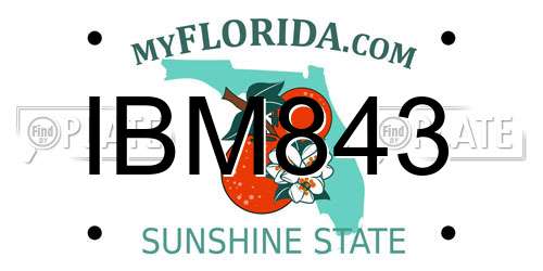 IBM843 Florida License Plate