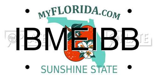 IBMEIBB Florida License Plate