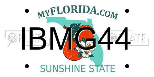 IBMG44 Florida License Plate