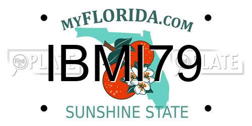 IBMI79 Florida License Plate