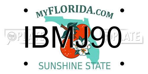 IBMJ90 Florida License Plate