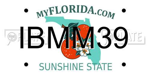 IBMM39 Florida License Plate