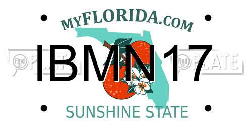 IBMN17 Florida License Plate