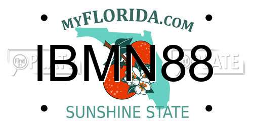 IBMN88 Florida License Plate