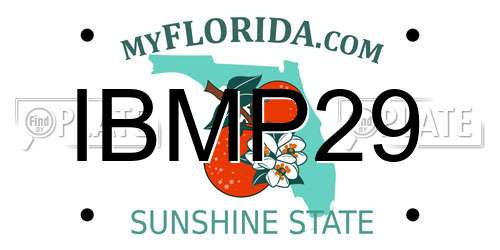 IBMP29 Florida License Plate