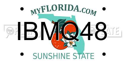 IBMQ48 Florida License Plate