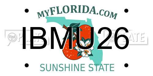 IBMU26 Florida License Plate