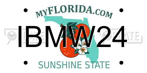IBMW24 Florida License Plate