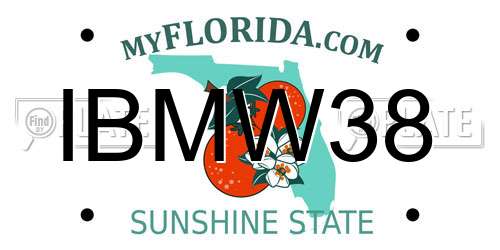 IBMW38 Florida License Plate