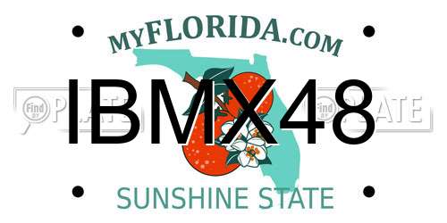 IBMX48 Florida License Plate