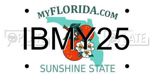 IBMY25 Florida License Plate