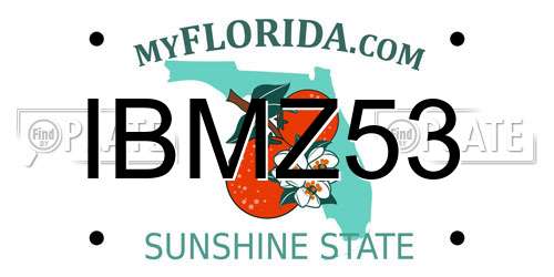 IBMZ53 Florida License Plate